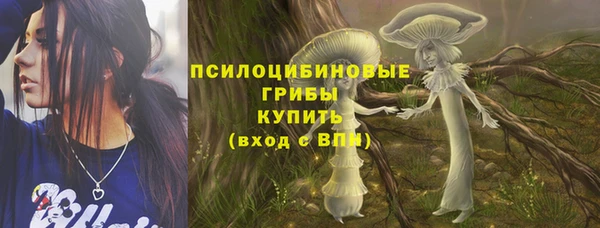 СК Лиски