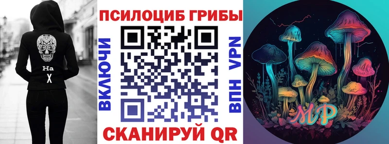 Купить закладки Кировград Псилоцибиновые грибы мухоморы